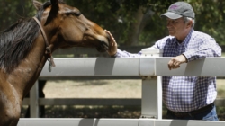 John C. Harris dead: Well-known California horse breeder was 81