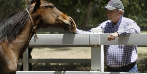 John C. Harris dead: Well-known California horse breeder was 81