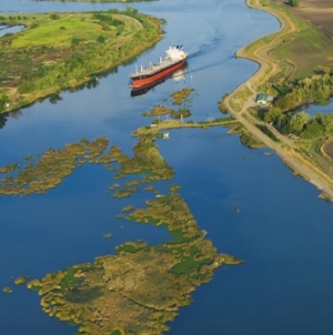 California regulators lay out two paths in proposed Delta water plan