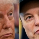 Elon Musk learns that bullies aren’t your friends. Now what?