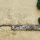 Record rainfall in central China leads to flooding and evacuations
