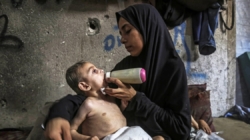 Israel allows new aid into starving Gaza under military pauses