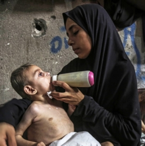 Israel allows new aid into starving Gaza under military pauses