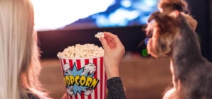 Do dogs really watch TV? Science says yes