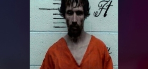 12-year-old girl reportedly chased alleged burglar into soybean field before his arrest