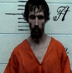 12-year-old girl reportedly chased alleged burglar into soybean field before his arrest