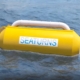 Lowering your electric bill could be floating in the ocean
