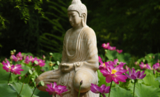 A Weekend of Far Eastern Culture and Blooming Beauty