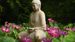 A Weekend of Far Eastern Culture and Blooming Beauty