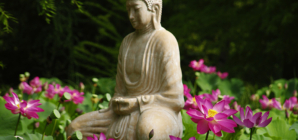 A Weekend of Far Eastern Culture and Blooming Beauty