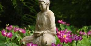 A Weekend of Far Eastern Culture and Blooming Beauty