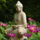 A Weekend of Far Eastern Culture and Blooming Beauty