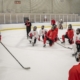 NHL-sponsored Referee Camp to Take Place in Budapest