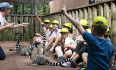 Budapest Zoo to Become a New Educational Hub of the Capital