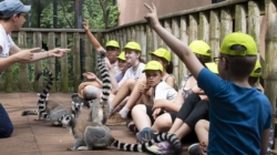 Budapest Zoo to Become a New Educational Hub of the Capital
