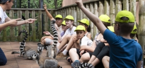 Budapest Zoo to Become a New Educational Hub of the Capital