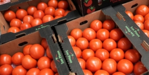 Trump administration imposes 17% tariff on fresh Mexican tomatoes
