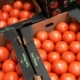 Trump administration imposes 17% tariff on fresh Mexican tomatoes