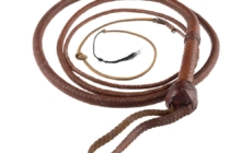 Hollywood auction of “Indiana Jones” whip draws $575,000 after “Citizen Kane” Rosebud sled gets near-record $14.75 million