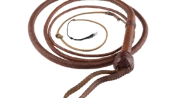 Hollywood auction of “Indiana Jones” whip draws $575,000 after “Citizen Kane” Rosebud sled gets near-record $14.75 million