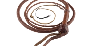 Hollywood auction of “Indiana Jones” whip draws $575,000 after “Citizen Kane” Rosebud sled gets near-record $14.75 million