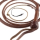Hollywood auction of “Indiana Jones” whip draws $575,000 after “Citizen Kane” Rosebud sled gets near-record $14.75 million