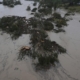 L.A. firestorms and Texas floods show communities are ill-prepared for worsening climate disasters