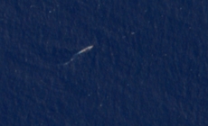 Update: Satellite Photo Shows U.S. Forces at Key Indian Ocean Base