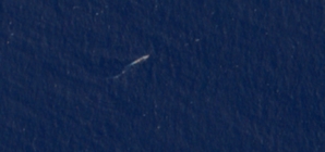Update: Satellite Photo Shows U.S. Forces at Key Indian Ocean Base