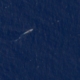 Update: Satellite Photo Shows U.S. Forces at Key Indian Ocean Base