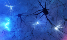 Parkinson’s Disease: “Brake” May Halt Cell Death in Some Patients