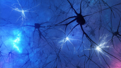 Parkinson’s Disease: “Brake” May Halt Cell Death in Some Patients