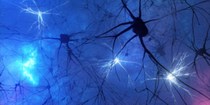 Parkinson’s Disease: “Brake” May Halt Cell Death in Some Patients