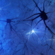 Parkinson’s Disease: “Brake” May Halt Cell Death in Some Patients