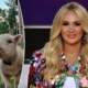 Country star Carrie Underwood grows produce, raises sheep at family farm