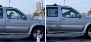 Dog Waiting in Car Honks to Hurry Owner out of Café—Wins ‘Pet of the Week’