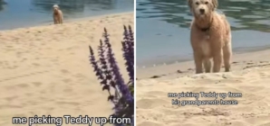 Dog Has Priceless Reaction When Told To Leave Grandparents House: ‘Spoiled’