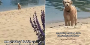 Dog Has Priceless Reaction When Told To Leave Grandparents House: ‘Spoiled’