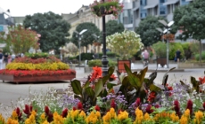 Two Towns Represent Hungary in Prestigious Flower Competition