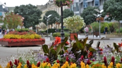 Two Towns Represent Hungary in Prestigious Flower Competition