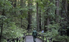 Trump ordered purge of ‘unpatriotic’ park signage: California is first