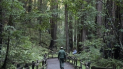 Trump ordered purge of ‘unpatriotic’ park signage: California is first