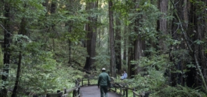 Trump ordered purge of ‘unpatriotic’ park signage: California is first