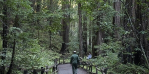 Trump ordered purge of ‘unpatriotic’ park signage: California is first