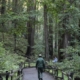 Trump ordered purge of ‘unpatriotic’ park signage: California is first