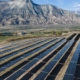 Senate removes excise tax on renewable energy industry from Trump domestic policy bill