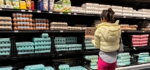 CPI rose in June to 2.7% annual rate, new data shows