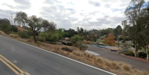 Dog dragged behind car in SoCal streets. Driver calls it an accident, official says