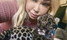 Exotic animal dealer who sold jaguar cub in SoCal gets probation