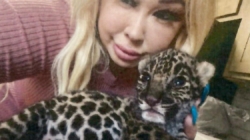 Exotic animal dealer who sold jaguar cub in SoCal gets probation